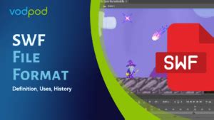 Image result for SWF Full Form