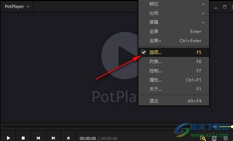 PotPlayer Setup 的图像结果