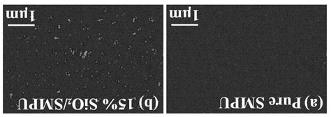 The Difference in Molecular Orientation and Interphase Structure of ...