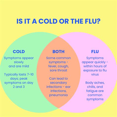 Is it a cold or the flu? Know the difference - Blueberry Pediatrics