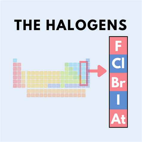 Halogens Periodic Table