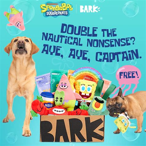 BarkBox & Super Chewer Coupon: Double Your First Box for FREE ...