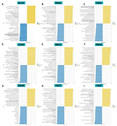 Pan-Cancer Analysis and Experimental Validation Identify ACOT7 as a ...