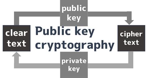 Image result for Programming