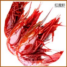 试吃国产顶级红魔虾，刺身YYDS，一口一只吃的根本停不下来