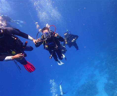 DARK DEEP DIVE (2026) All You Need to Know BEFORE You Go (with Photos ...