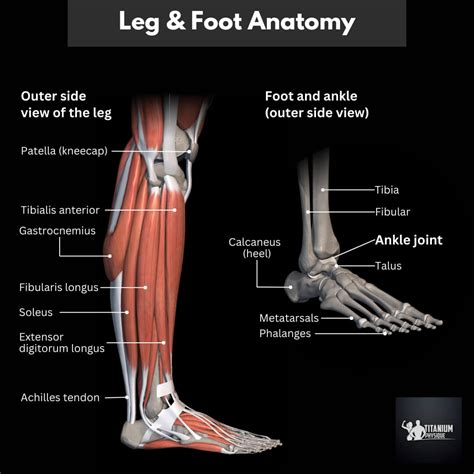 Leg Pain and Foot Tendonitis | Root Causes & Relief Exercise