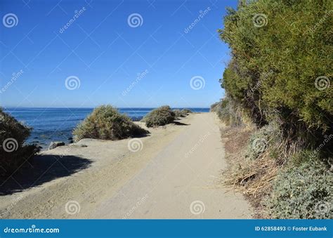 Salt Beach Dana Point