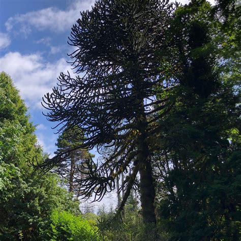 Ronning’s Garden (Holberg) - 2022 What to Know Before You Go (with ...