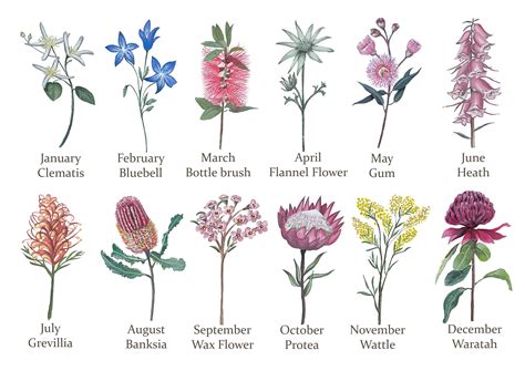 Birth Flower Chart Personalised Birth Flower Sign – Mist Designs