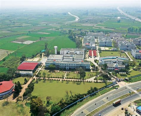 COER University Organogram