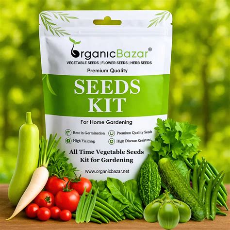 Buy All Time Vegetable Seeds Kit for Kitchen Garden or Terrace ...
