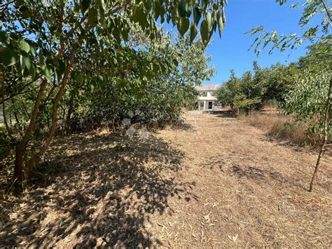VRSI ZADAR - KUĆA ZA RENOVIRANJE SA VELIKIM GRAĐEVINSKIM ZEMLJIŠTEM
