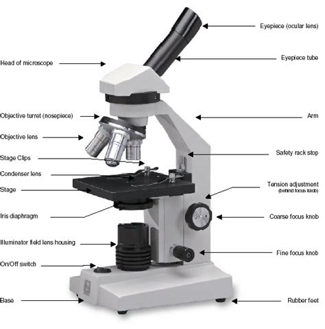 Compound Microscope Parts Labeled 的图像结果