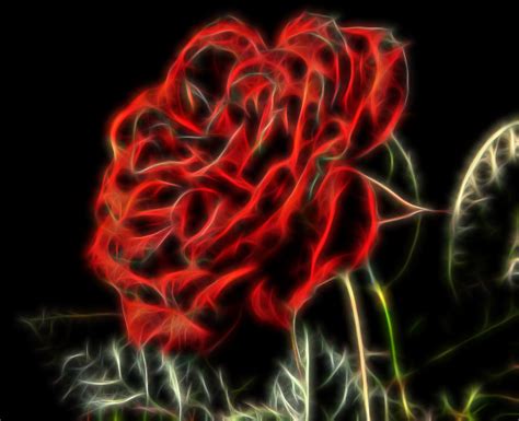 primunlu » Blog Archive » Redfield fractalius v1.50 for adobe photoshop