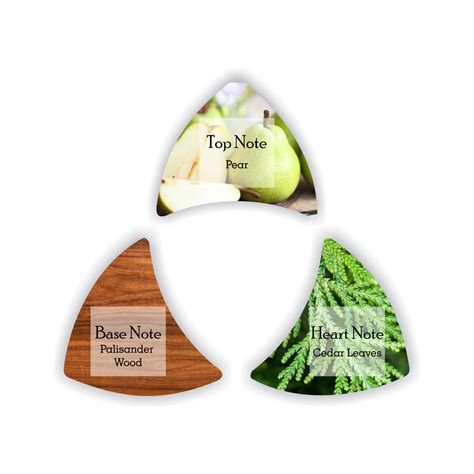 Mercedes-Benz Men Deodorant Spray 200ml – BEAUTY SCENTIMENTS