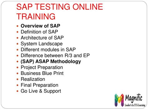 SAP Testing Training 的图像结果