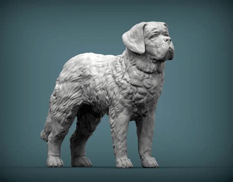 Saint-Bernard Dog 3D Print Model by Alexander3dart