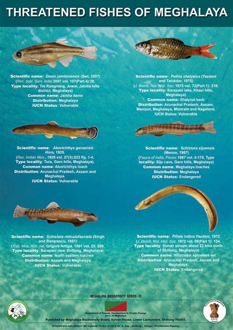 Posters | Official website of Meghalaya Biodiversity Board,Government ...