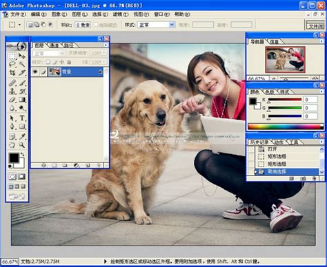 Download Adobe Photoshop 2023 for free | Photoshop logo, Photoshop ...