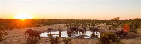 Holiday Accommodation & Lettings in South Africa from 2.308 ₹ | HomeToGo