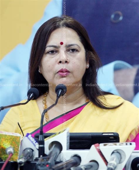 Buy Meenakshi Lekhi clicked during a press conference Pictures, Images ...
