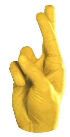 Fingers Crossed GIFs. 50 Animated Pics and Emojis
