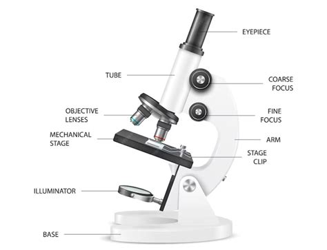 Image result for Video Microscope Play