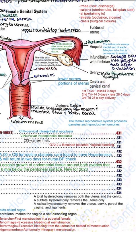 Image result for CPT Coding Lessons