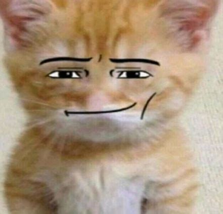 Image result for Roblox CATScript Pastebin