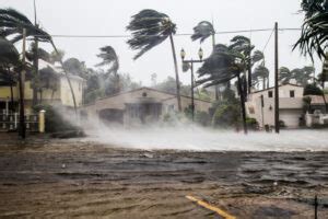 Image result for Florida Python Problem