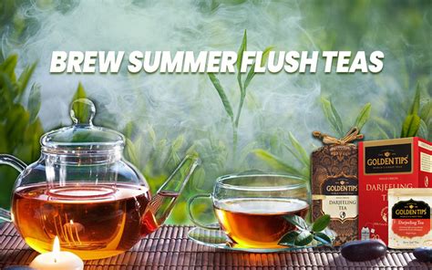 The Beginner’s Guide to Second Flush Darjeeling Teas – Golden Tips