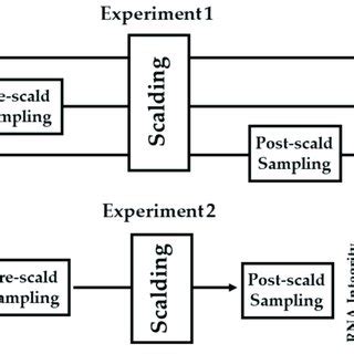 Simple Experiment Design 的图像结果