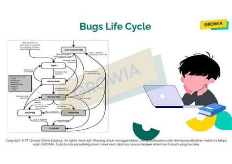 Image result for Defect Life Cycle with Example