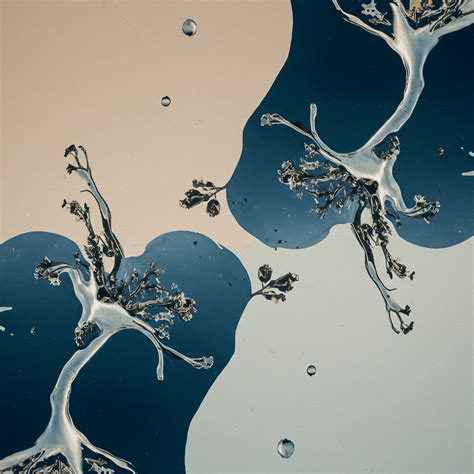 How Does Salinity Affect Marine Life? → Question