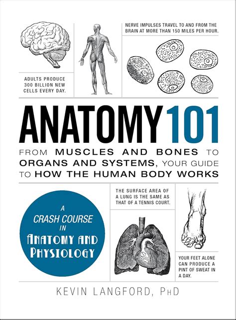 Amazon.in: Buy Anatomy 101 Book Online at Low Prices in India | Anatomy ...