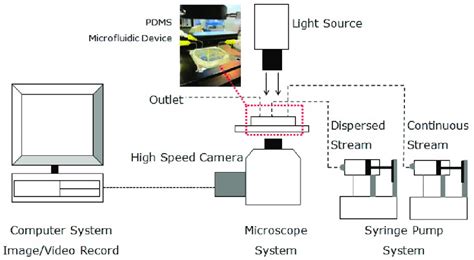 Image result for Microscope Camera Set Up