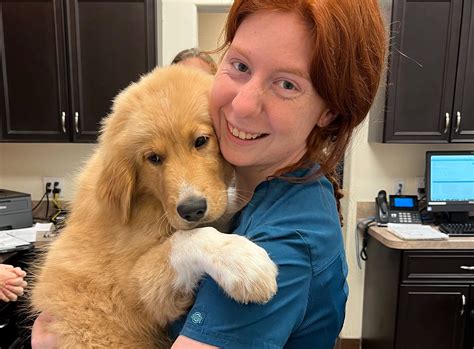 Spay and Neuter for Dogs and Cats Brevard, FL | Island Animal Hospital