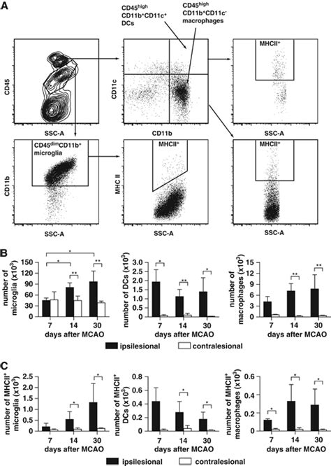 Image result for Flow Cytometry of Microglia Videotutorial