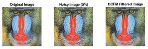 Image Noise Reduction by Means of Bootstrapping-Based Fuzzy Numbers