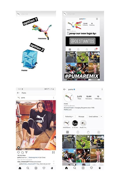 Image result for How to Draw Puma Logo in Python