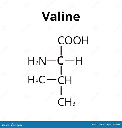 Amino Acid Valine Structure at Evie Hargreaves blog