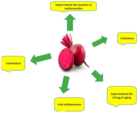 A Brief Overview of the Effects of Exercise and Red Beets on the Immune ...
