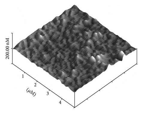 Image result for Cicio AFM Module