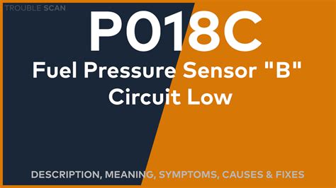 Code P018c 的图像结果