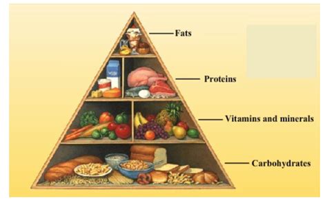 Image result for Class 6 Science Components of Food