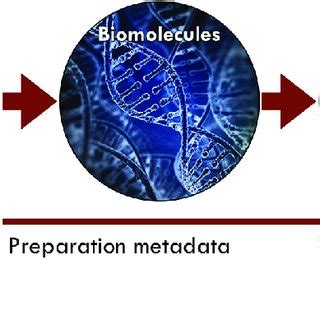Different Types of Metadata 的图像结果
