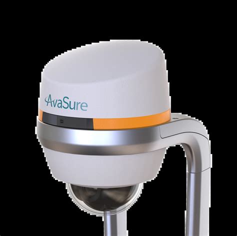 Virtual Sitting - AvaSure