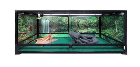 Buy Carolina Custom Cages, 48Lx18Wx18H Extra-Long Terrarium; Easy ...