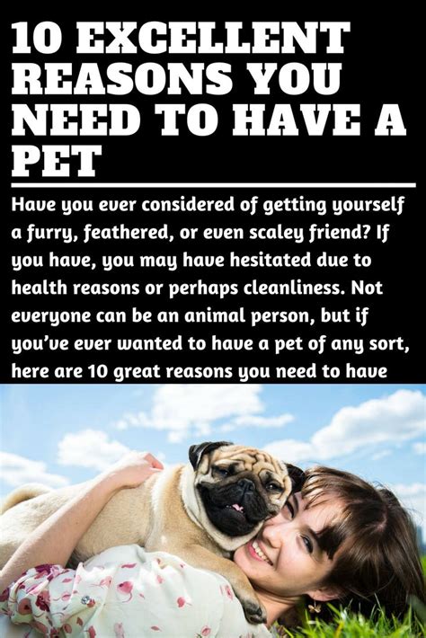 Benefits of Keeping Pets - LindsayewaHunter